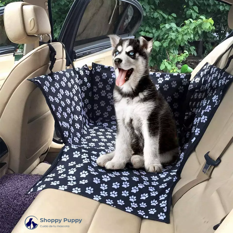 Funda perro pequeño para coche impermeable, asiento individual – Shoppy  Puppy